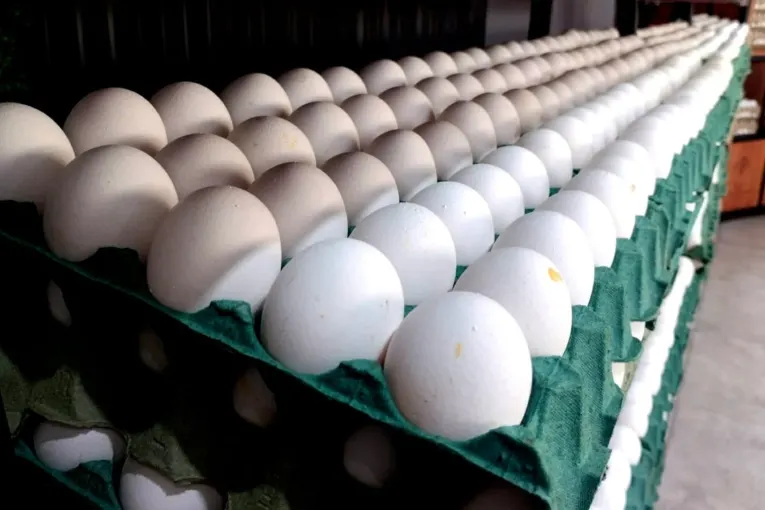 El récord en el consumo de huevos choca contra la rentabilidad negativa del sector