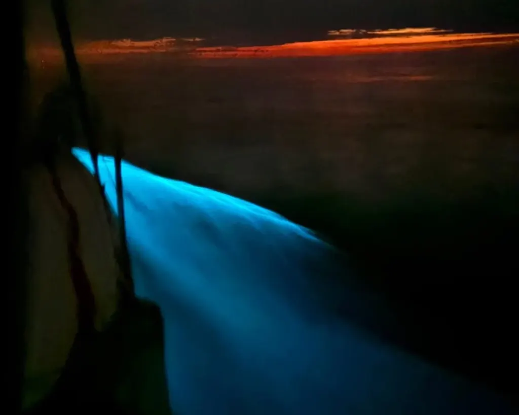 El velero uruguayense Cerostres fue testigo de un impactante fenómeno de bioluminiscencia en el Atlántico