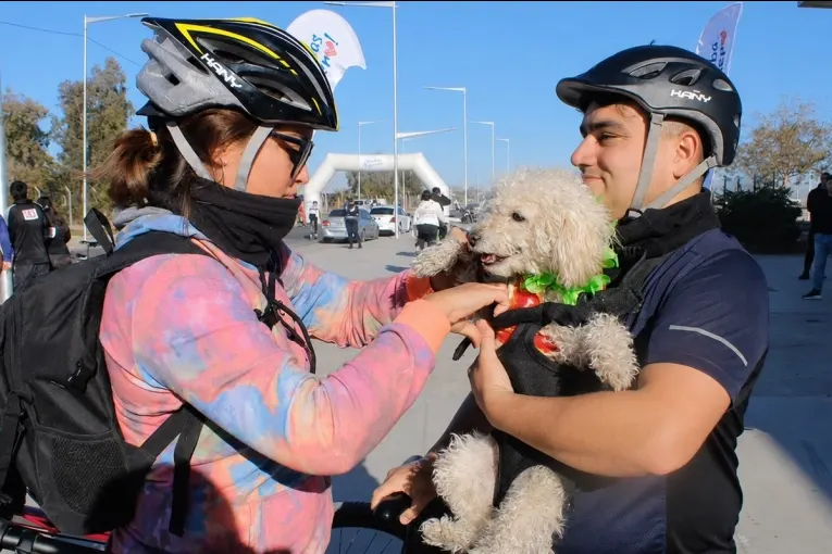 Invitan a participarcicleteada solidaria para ayudar a animales rescatados