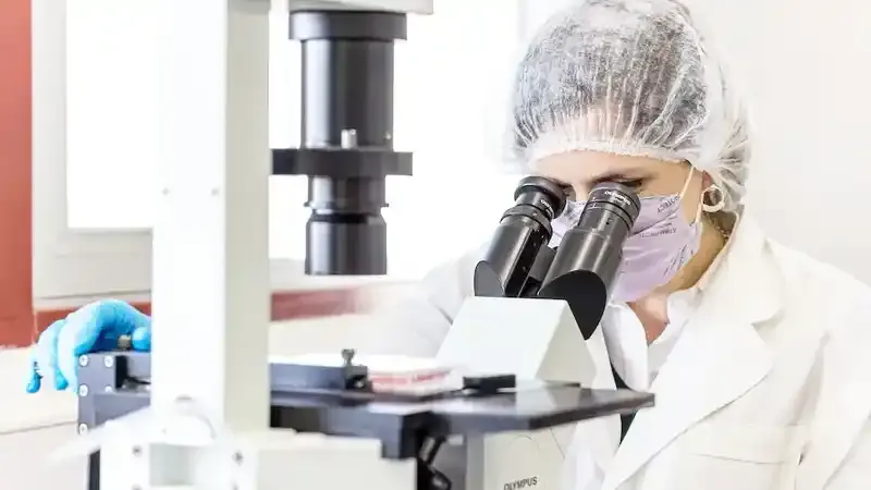 La Academia Nacional de Ciencias alertó por la “fuga de cerebros” y cuestionó las políticas del Gobierno para el sector