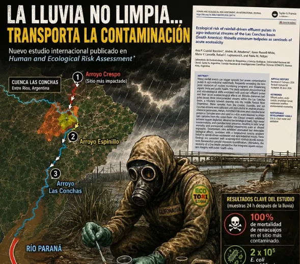 La ruta del veneno: las lluvias arrastran contaminantes a un arroyo