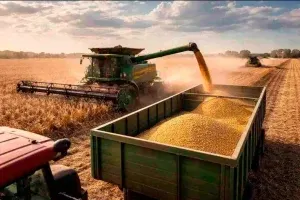 La soja cerró su campaña con 50,1 millones de toneladas y rinde récord