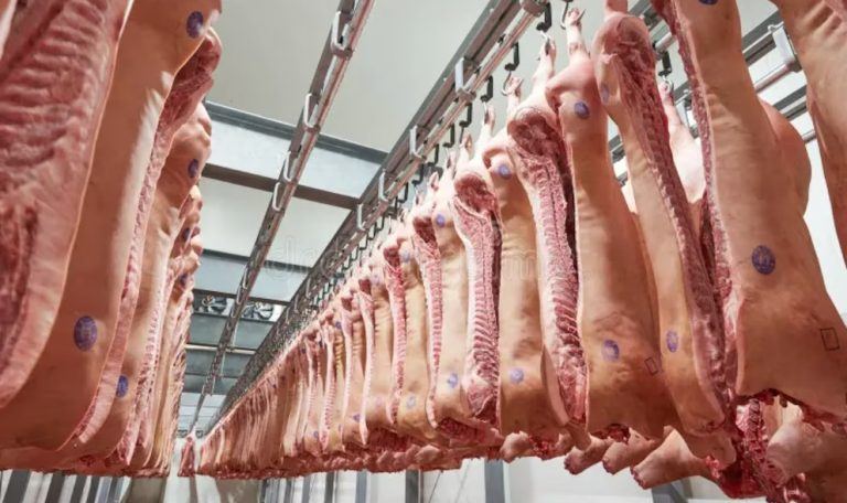 Las exportaciones de carne de cerdo crecieron más de 150 por ciento y el consumo alcanza nuevos máximos