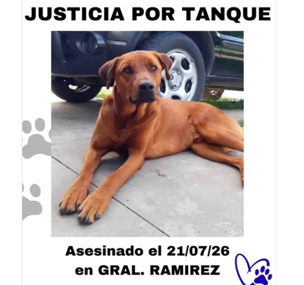 Mató a un perro con una escopeta en Ramírez: lo denunciaron