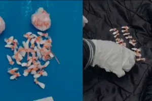 Persecución en Concordia: secuestraron 160 dosis de cocaína