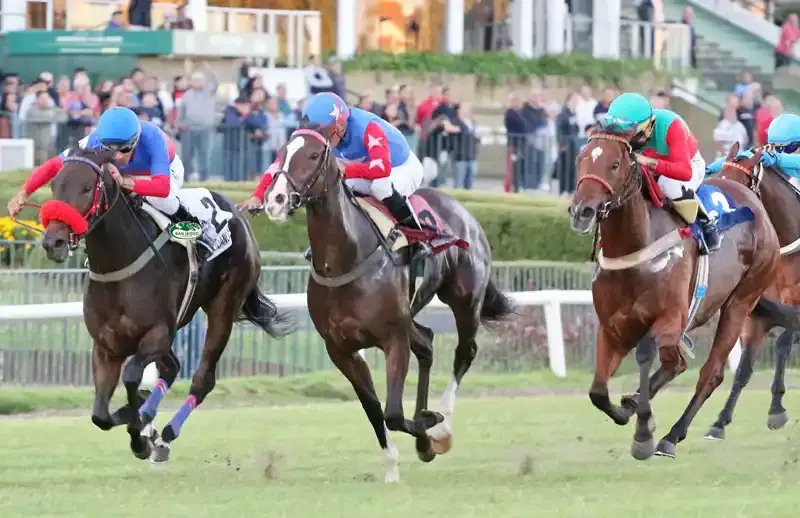 Sábado 11: Actividad Hipódromo de San Isidro