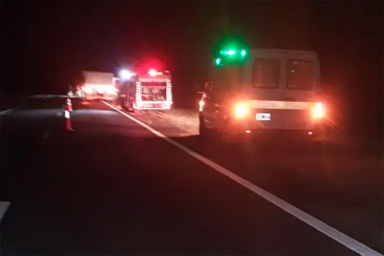Un camión de Paraná chocó contra un vacuno suelto en la ruta 12 y el animal murió