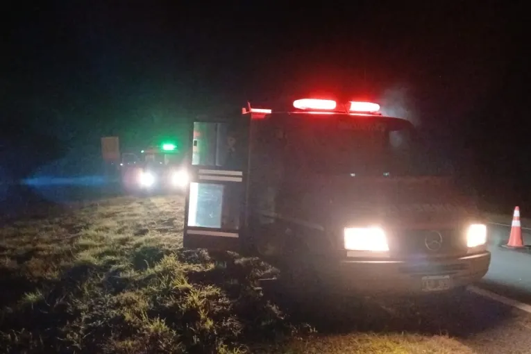 Un camión embistió a un vacuno en la Ruta 12