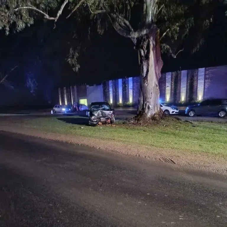 Un conductor que viajaba a Gualeguaychú chocó contra un árbol en la Ruta 20 y fue trasladado al Hospital Centenario