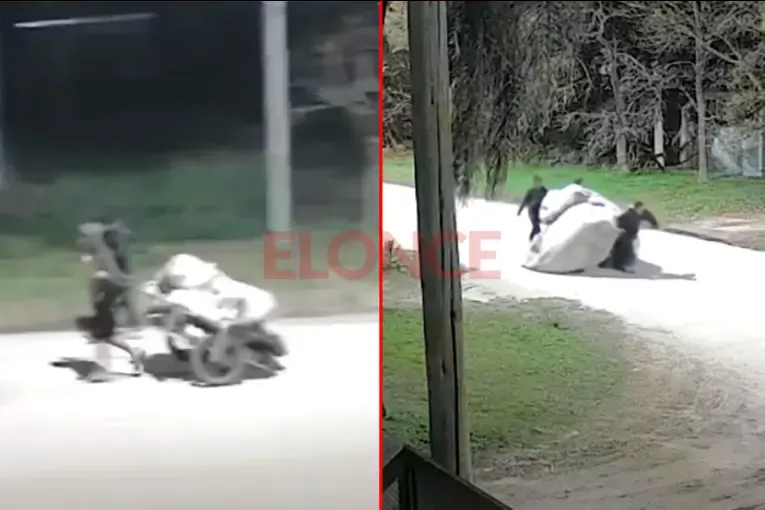 Volvieron a robar en el predio "Los Naranjitos": delincuentes se llevaron 40 metros de alambrado