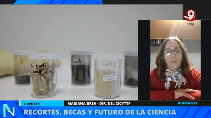 Alarma por el impacto del recorte en ciencia y tecnología: “Estamos en una situación mucho peor que en los 90”