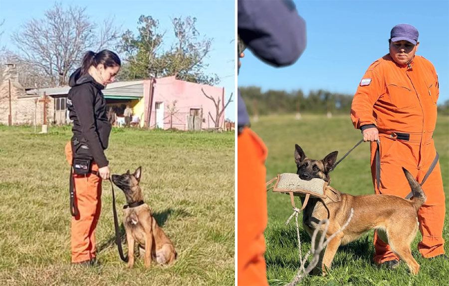 Capacitación K9 en Aldea Brasilera: bomberos voluntarios fortalecieron la preparación de sus perros de búsqueda