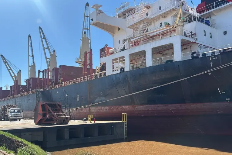 Cargarán 18.000 toneladas de pino a granel con destino a la India en el puerto de Concepción del Uruguay