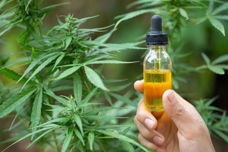 Charla «¿Quiénes hablan del cannabis?