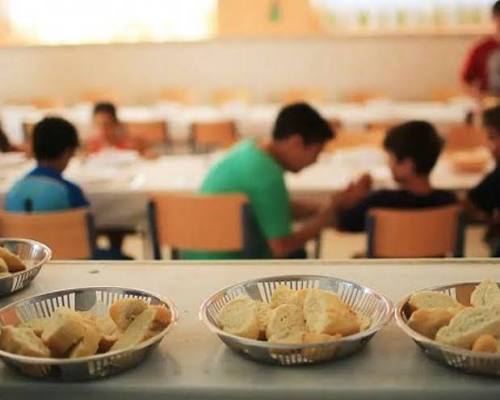 Convocan a familias a sumarse al amparo colectivo contra el nuevo sistema de alimentos escolares