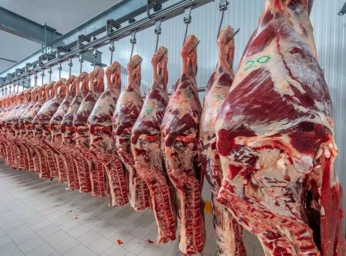 El consumo de carne vacuna se hundió 12% en 2026 y perforó mínimos en más de dos décadas