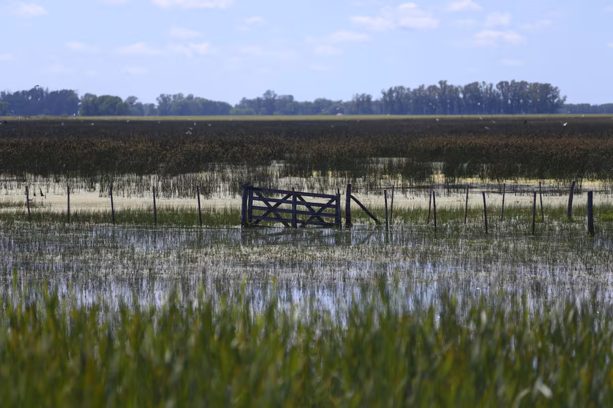 El Niño frena la siembra y cambia las cuentas en el campo bonaerense