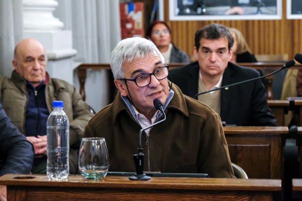 El Senado convirtió en ley la reglamentación del artículo 60 de la Constitución