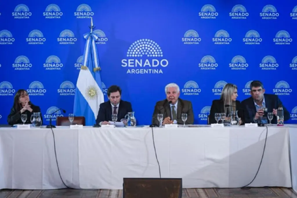 El Senado inicia el debate del Súper RIGI para atraer inversiones en tecnología y minerales críticos
