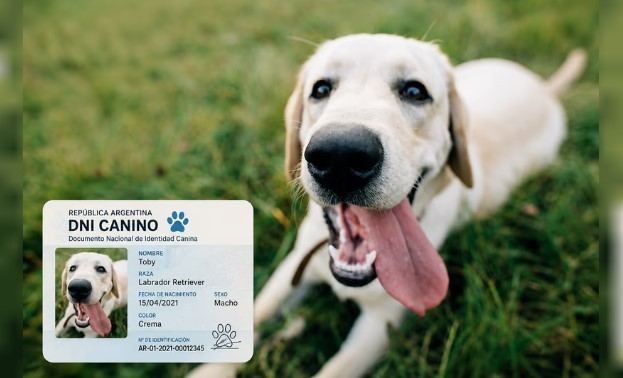 En un municipio comenzó a regir el DNI obligatorio para mascotas