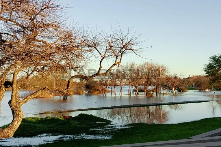 Frío invernal, calma de sudestadas y un río que comienza a descender