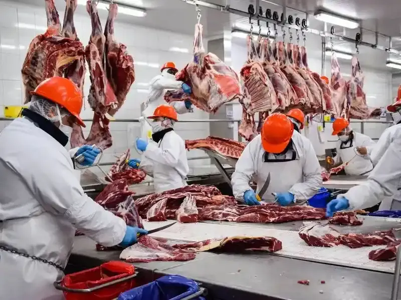 La carne vacuna generó US$2.768 millones de dólares en los primeros siete meses del año