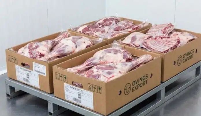 La exportación de carne ovina creció el 34 por ciento en el primer semestre del año