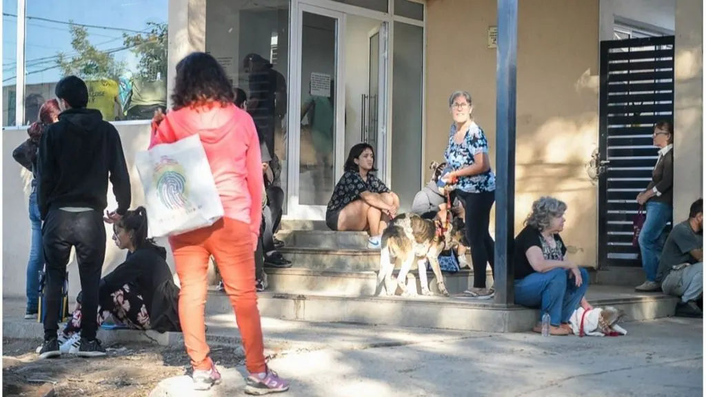 La Municipalidad de Paraná continúa con las castraciones