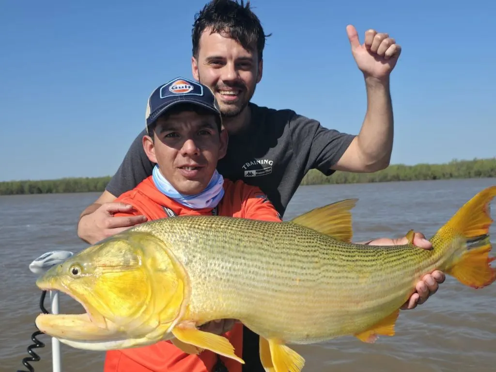 ¿Lluvia de dorados en La Paz? Las capturas entusiasman de cara a la gran fiesta de septiembre