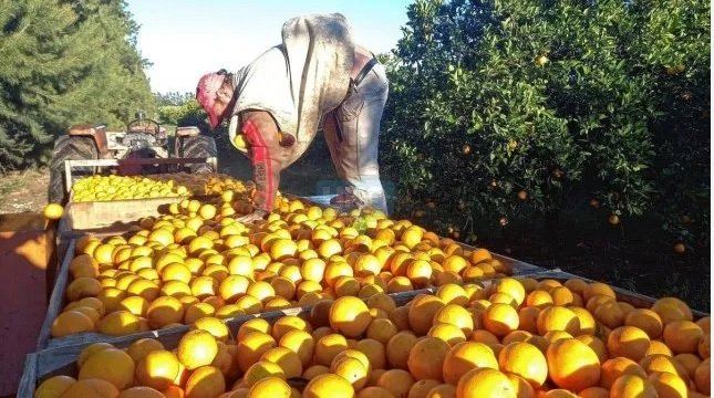 Luego de la cautelar contra Teknofood, insisten en que la producción entrerriana provea a los comedores escolares