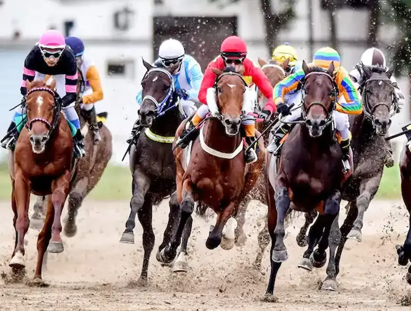 Martes 25: Actividad Hipódromo de La Plata