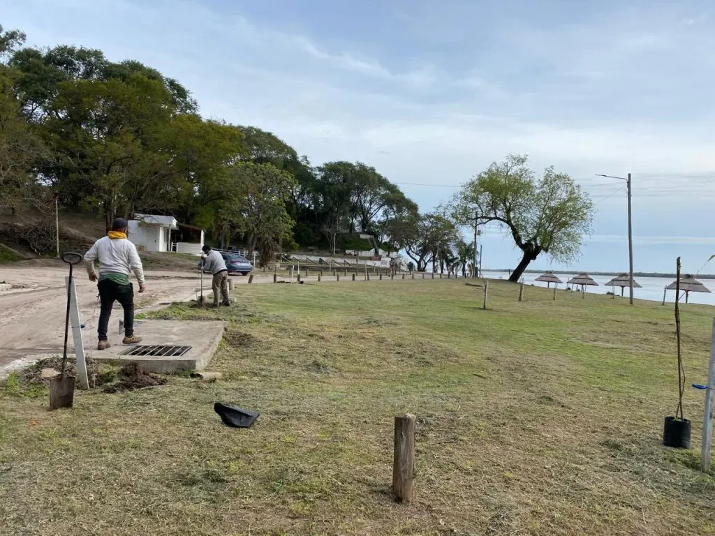 Más verde para La Paz: comenzó la plantación de árboles en distintos sectores de la ciudad