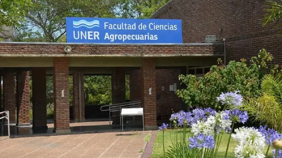 No docentes universitarios de Entre Ríos se suman al paro de 48 horas de este jueves y viernes