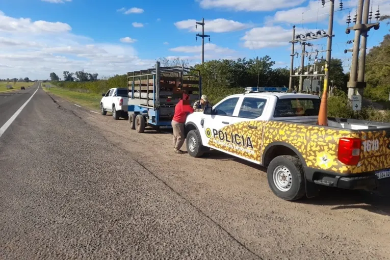 Operativos rurales: detectaron cazadores, secuestran arma y varias actas de infracción