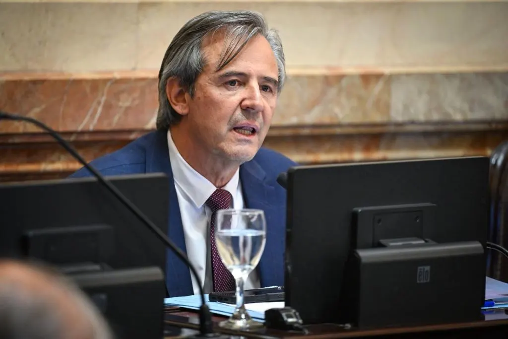 Para Bahl, la ley “despoja al Estado de herramientas” para la gestión pública