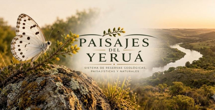 Puerto Yeruá impulsa un proyecto para crear una nueva área natural protegida
