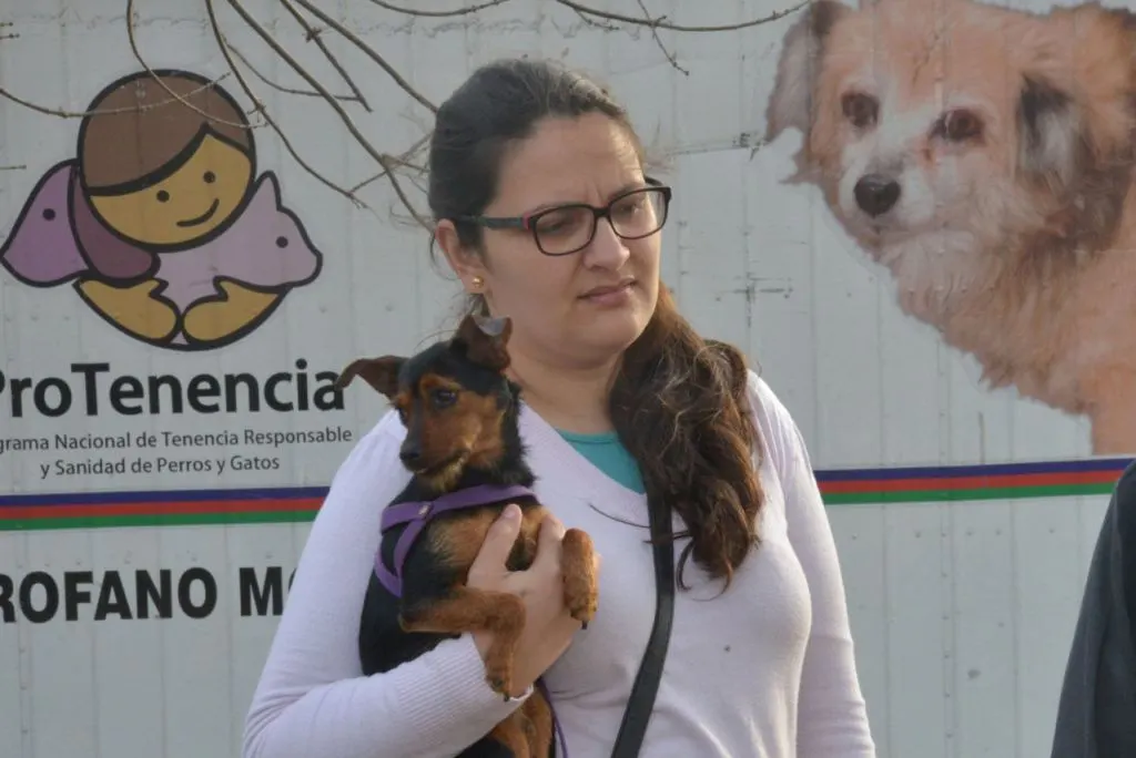 Siguen las castraciones en la ciudad