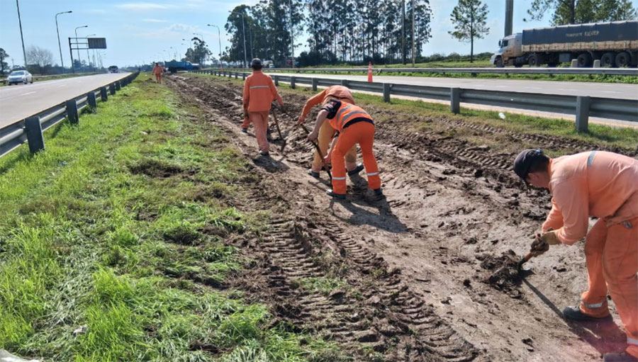 Tareas de limpieza en rutas 12 y 14