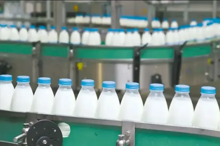 Tras meses paralizada, una empresa láctea prepara su regreso y buscará exportar el 70% de su producción