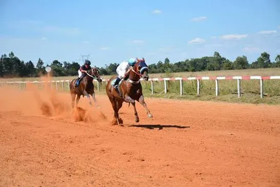 Un hombre fue atropellado por un caballo mientras festejaba el triunfo de "Maníaco", el suyo.