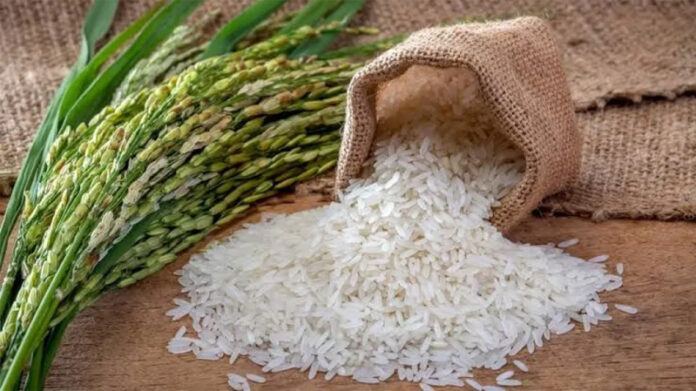 Entre Ríos creó un sello para distinguir al arroz producido en la provincia