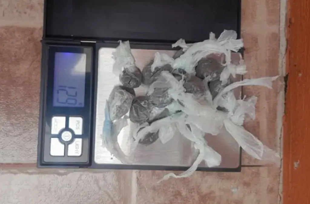 Allanamiento en Paraná. Un detenido y secuestro de 44 envoltorios de cocaína, marihuana y dinero