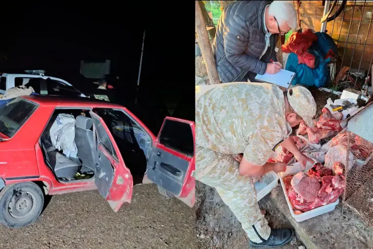 Allanamientos por abigeato en Gualeguaychú: secuestraron 300 kilos de carne y un auto