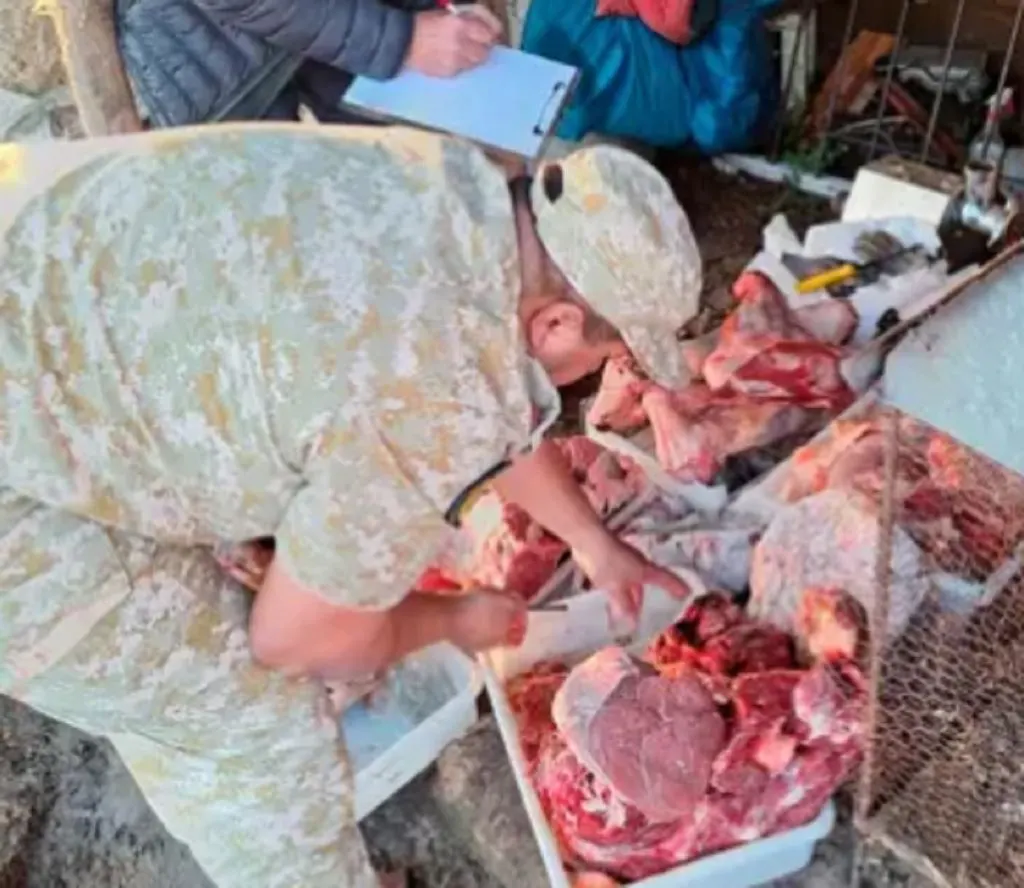 Allanamientos por abigeato. Secuestraron 300 kilos de carne y un auto