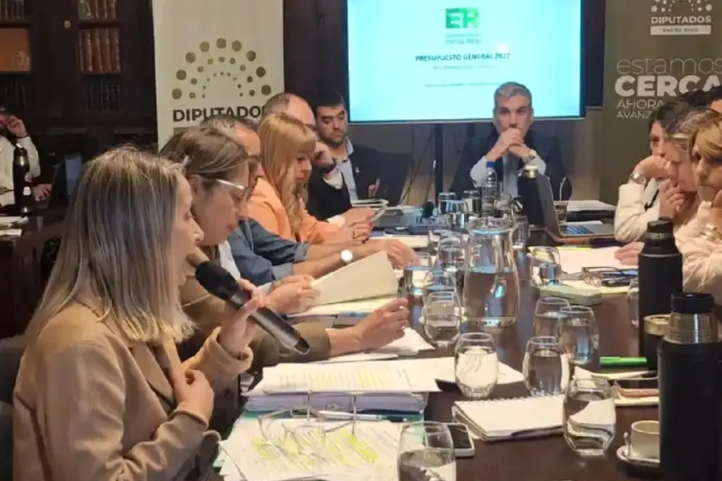 Ante la presencia del ministro de Economía, diputados entrerrianos comenzaron el tratamiento del presupuesto 2027