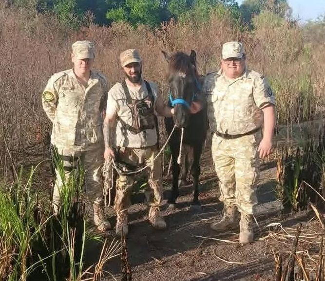 Apareció “Nano” y regresó al predio de “Mi Reino por un Caballo”
