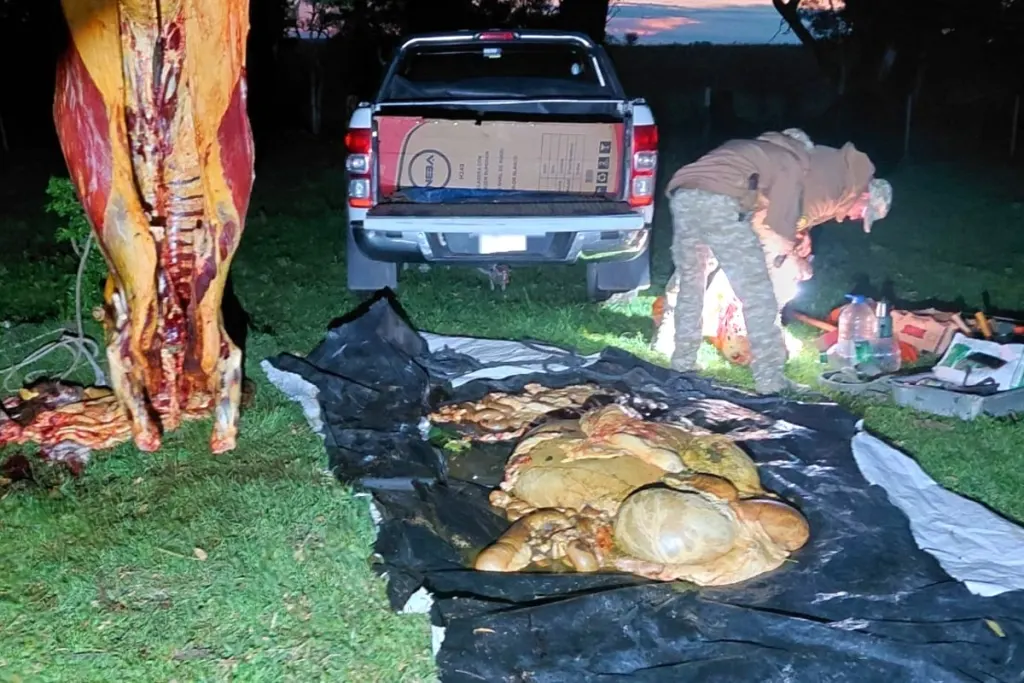 Aprovecharon que la dueña estaba enferma, le usurparon el campo y los encontraron carneando una vaca