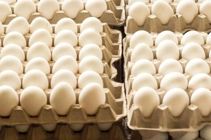 Argentina se encamina a un nuevo récord mundial de consumo de huevos