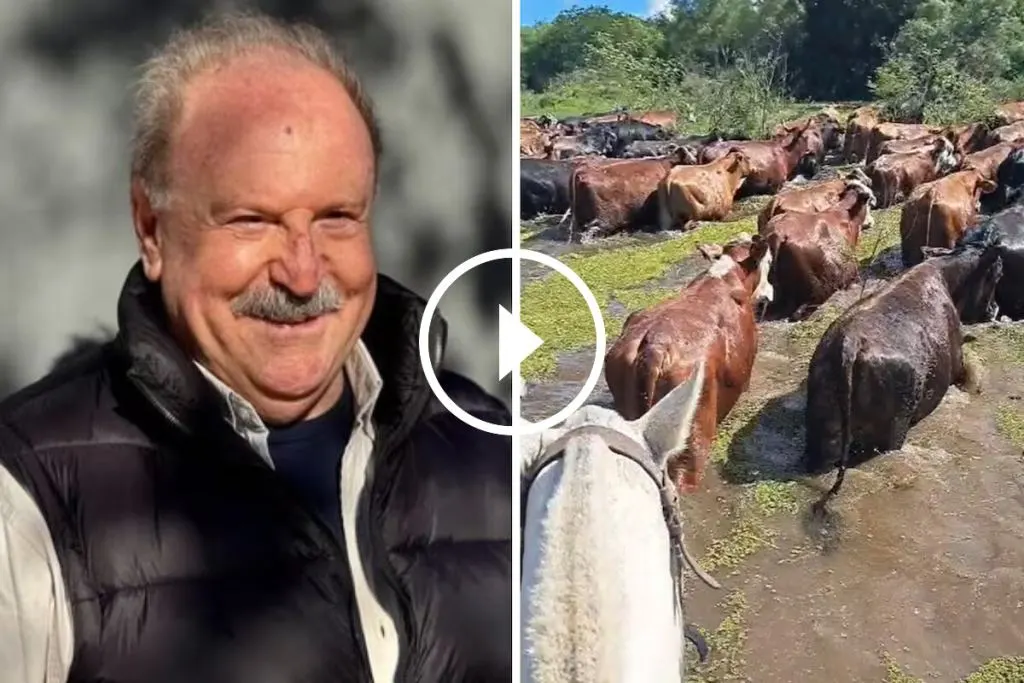 Capozzolo evacúa vacas en las islas por la crecida del Paraná