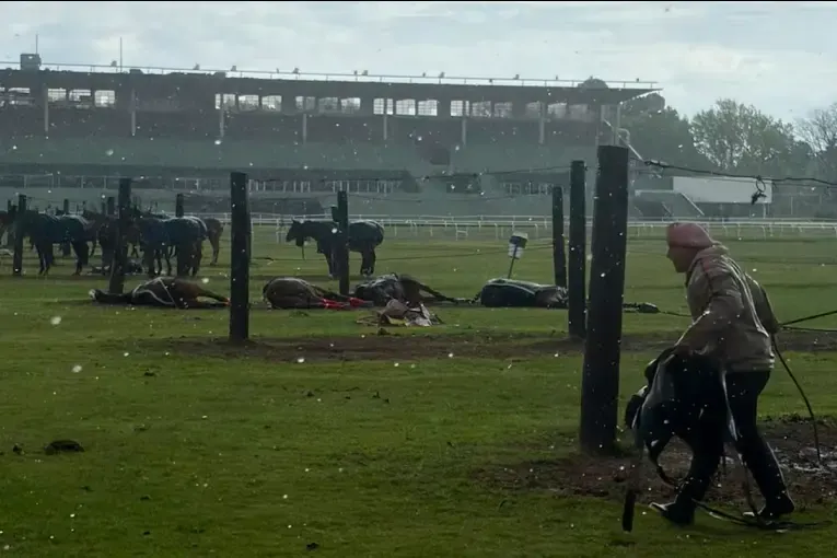 Cayó un rayo durante una práctica de polo: murieron cuatro caballos y un cuidador quedó herido